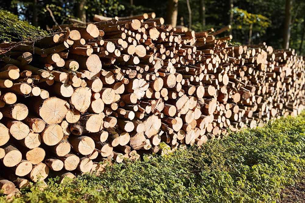 Holzpolter