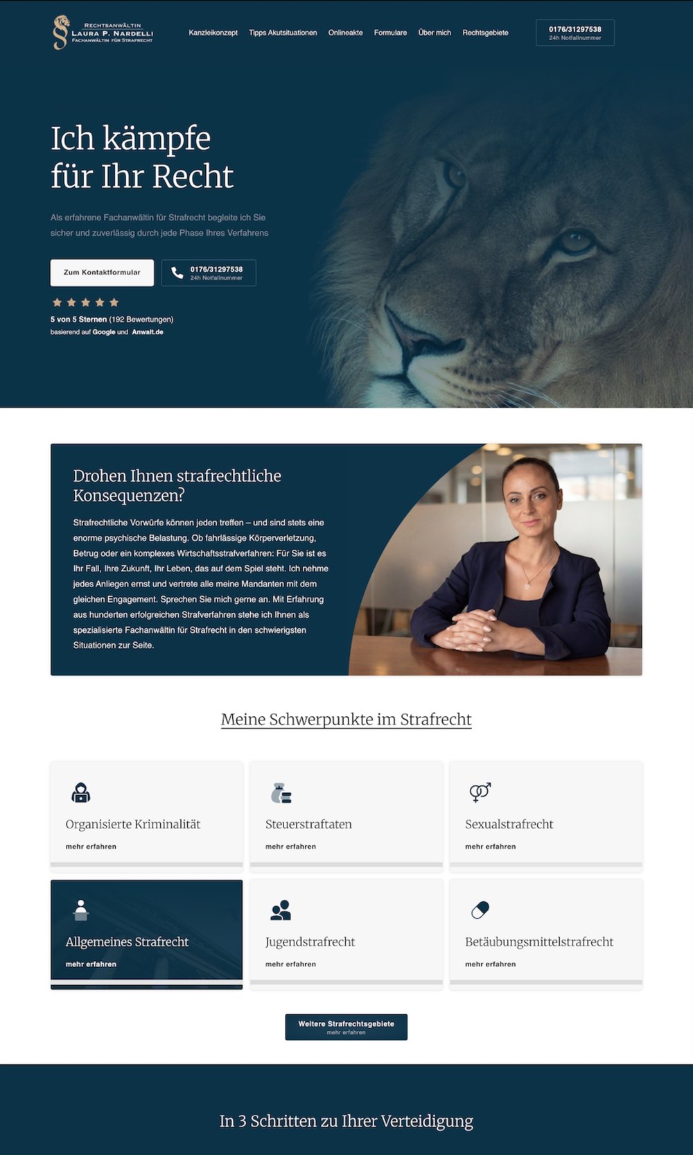 Projekt-Screenshot