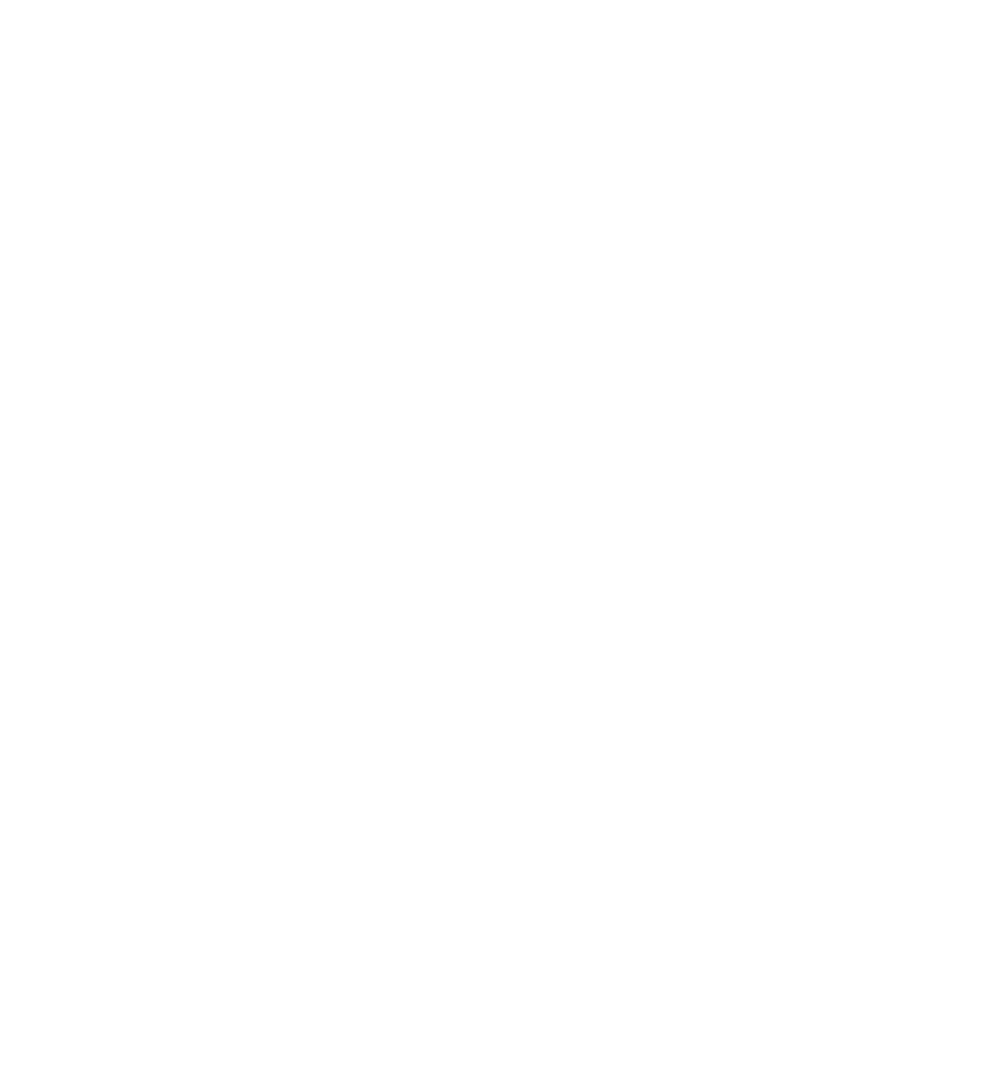 NIRO und KÖGL Logos mit Schriftzug "OFFIZIELLER VIP-PARTNER" und 4 Sternen in Rot auf Grün.
