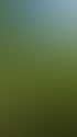 Heckenschnitt in Zürich und Umgebung | Botanica Greiner