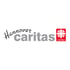 caritas-hannover.de
