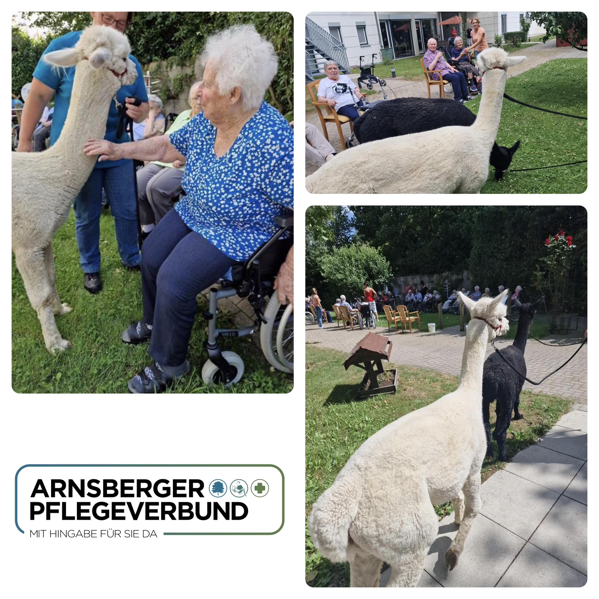 Tierischer Besuch beim ARNSBERGER PFLEGEVERBUND.