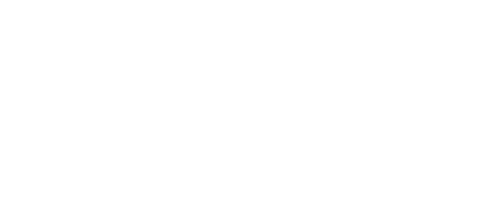 Logo von E-WERK FRANZ: weißer Buchstabe F mit geschwungener Linie, daneben Text "E-WERK FRANZ" auf grünem Grund.