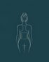 Female body illustration highlighting the waistline