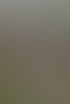 DSC01637.jpg