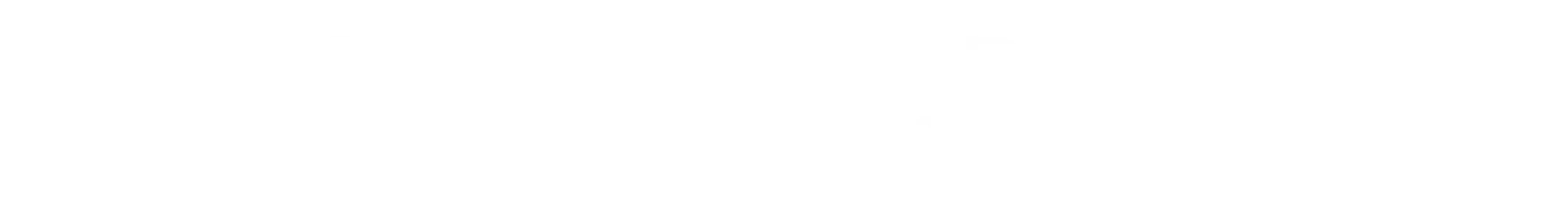 Björn Kurth Performance Logo