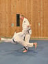 Ein Aikido-Schüler wirft einen anderen Schüler auf einer blauen Matte in einem Raum mit Holzwänden.