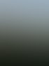 Wolaita in Äthiopien bei Sonnenaufgang mit grünem Ufer, Bäumen und leichtem Nebel über dem Wasser unter hellem Himmel.