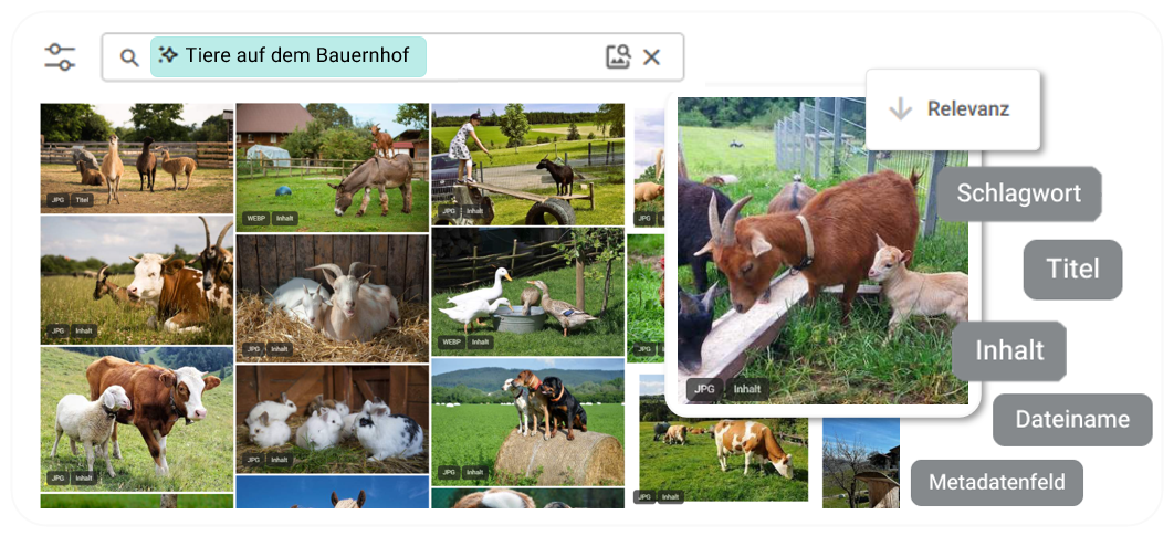 Unified Search Screenshot Newsletter1neu.png