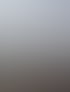 Forstservice Frankfurt (Oder) | Forstservice Winnige