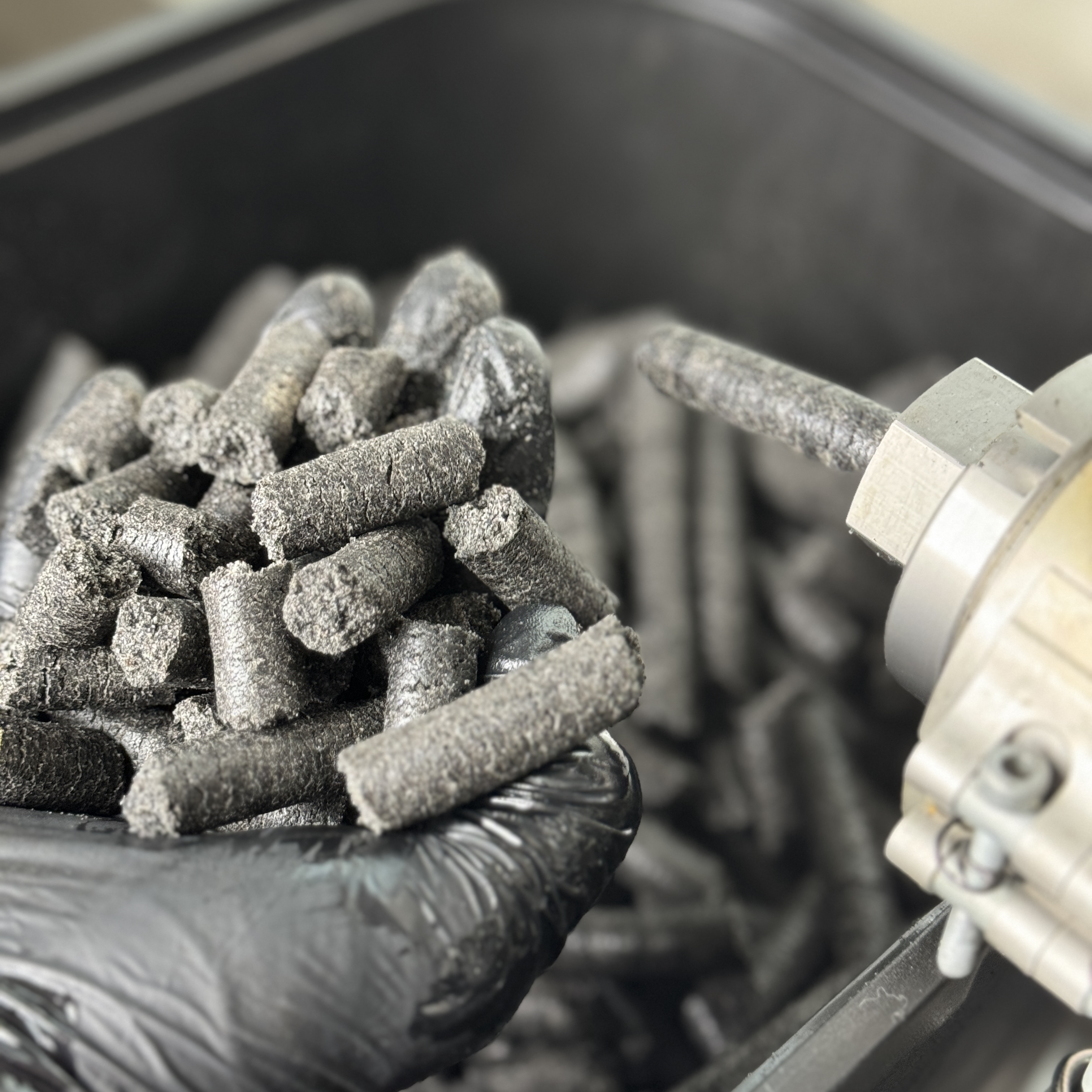 Schwarzer Handschuh hält Presskuchen-Pellets direkt neben der Schneckenpresse