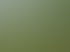 Forstservice Frankfurt (Oder) | Forstservice Winnige