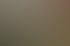 Videodreh bei einem Partnerbetrieb
