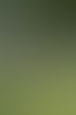 Eine Person hockt im Gras mit einem liegenden Rottweiler und hält ein gerahmtes Zertifikat in der Hand.