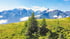 Alm im Sommer in der Region Piesendorf Niedernsill