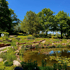 Gartenteich mit Seerosen, umgeben von einer Steinmauer, grünen Wiesen und hohen Laubbäumen unter blauem Himmel.