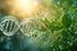 DNA-Helix, die sich in grüne Blätter, Samen und Wassertropfen auflöst, auf weich verschwommenem Hintergrund.