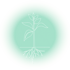 Healthcare Clinic Conifer CO