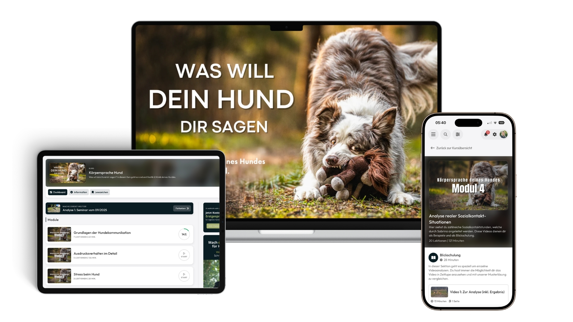 Monatsangebot für Hundehalter