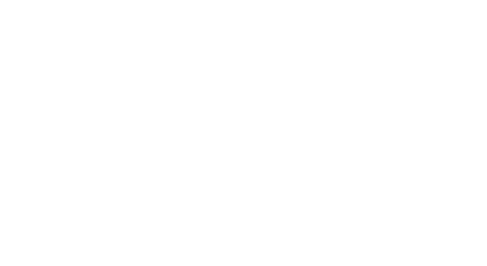 Logo von VIVA mit dem Text "VIVA DAS NETZWERK" in Weiß auf grünem Hintergrund.