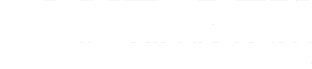 Firmenlogo von Antapex Solar Energie mit stilisierten Solarmodulen – Dein Experte für Photovoltaik Hannover.