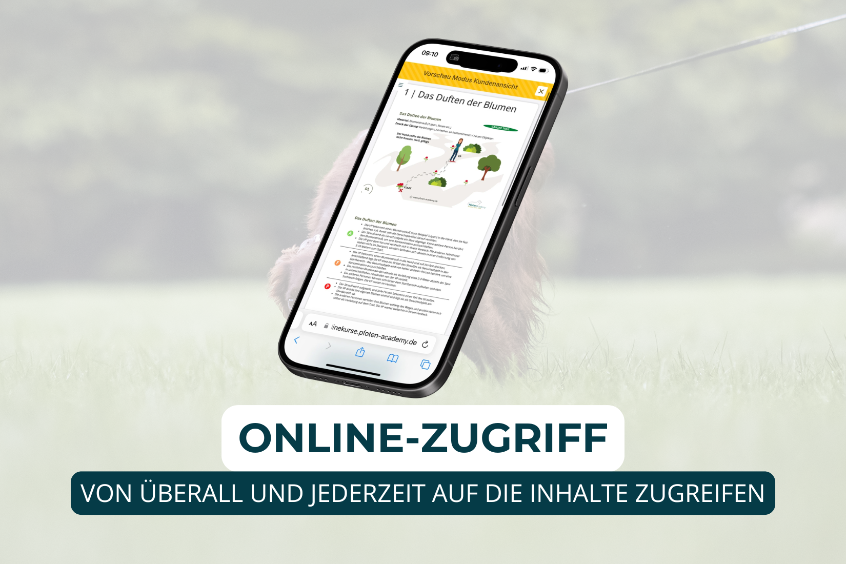 Übungskonzept Mantrailing – Bild 5