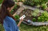 Eine Frau steuert per Smartphone-App ein automatisches Bewässerungssystem in einem bepflanzten Gartenbeet.