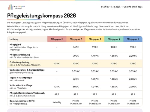 Preview of the Care Benefits Compass 2026 by AlleFarben Alltagshilfe with a benefits table by care level.