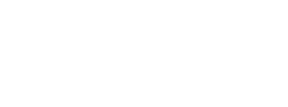 Logo Physio Lang - Physiotherapie und Performance Training Würzburg