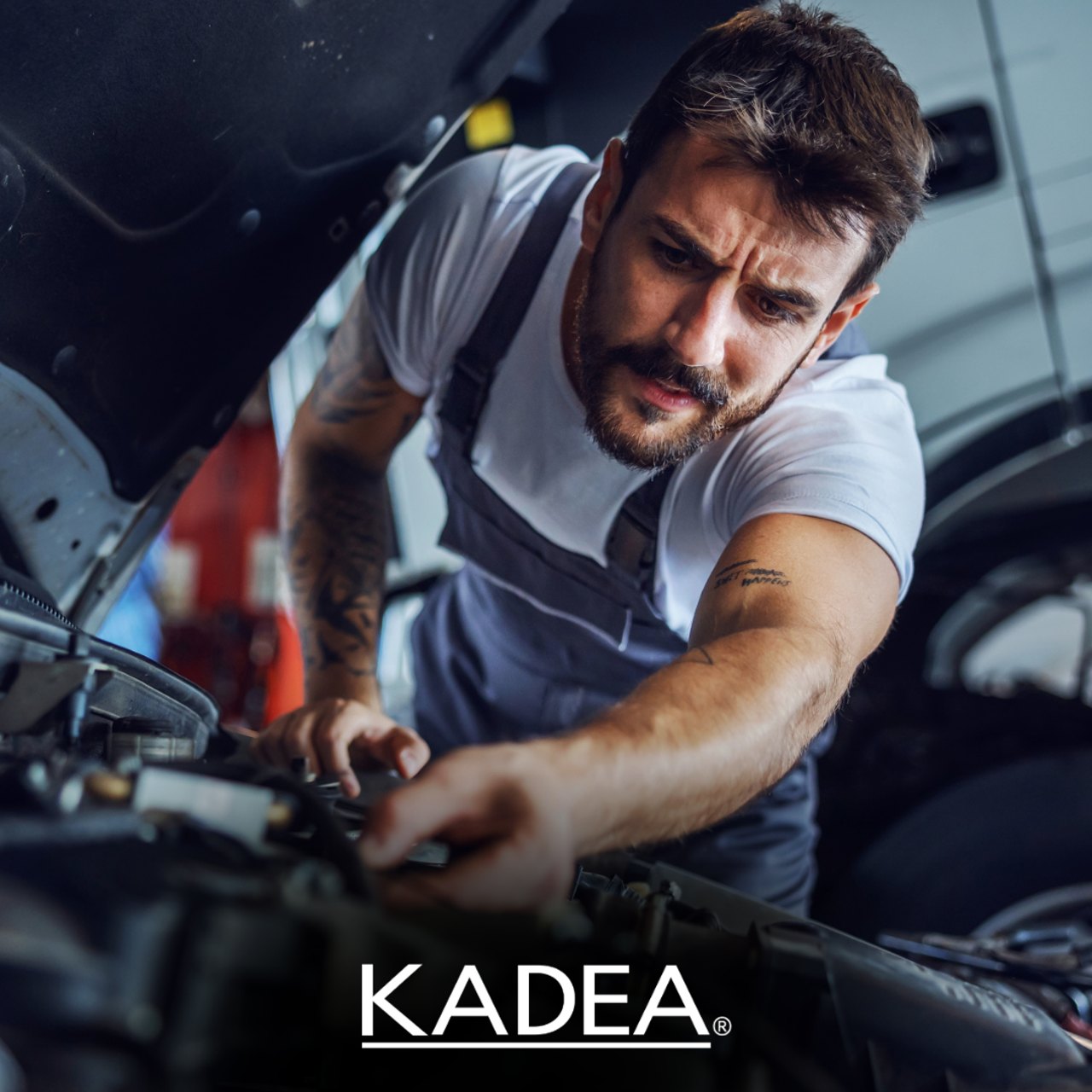 Das Team KADEA freut sich auf dich!