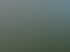 Moderne Pergola aus schwarzem Metall an einem weißen Haus mit grauen Gartenmöbeln und Rasen.