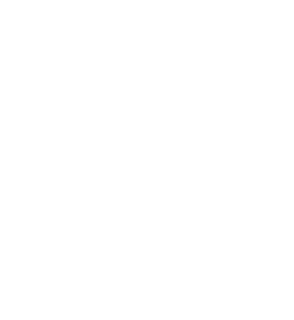 NIRO und KÖGL Logos mit Schriftzug "OFFIZIELLER VIP-PARTNER" und 4 Sternen in Rot auf Grün.