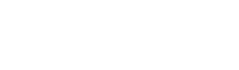 Libellen-Logo über "AUSGEGLICHEN", darunter "Kinesiologie * Kommunikation * Energetik für Tiere" auf dunkelgrünem Grund.