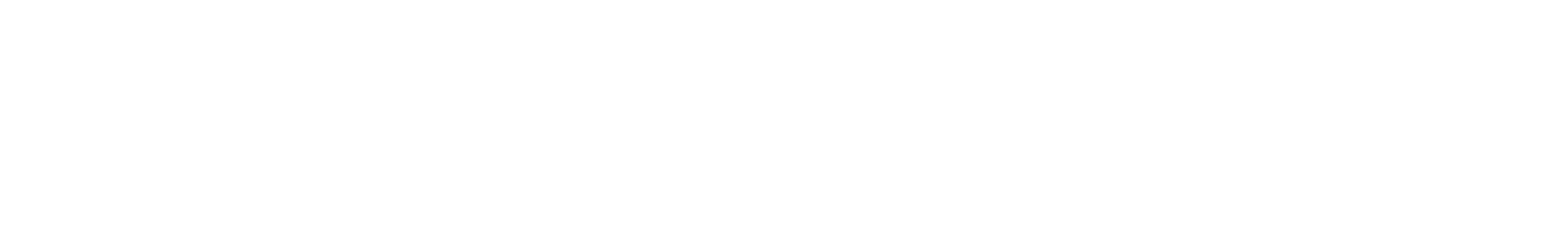 Fabian Schwaiger