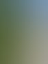 Heckenschnitt in Zürich und Umgebung | Botanica Greiner