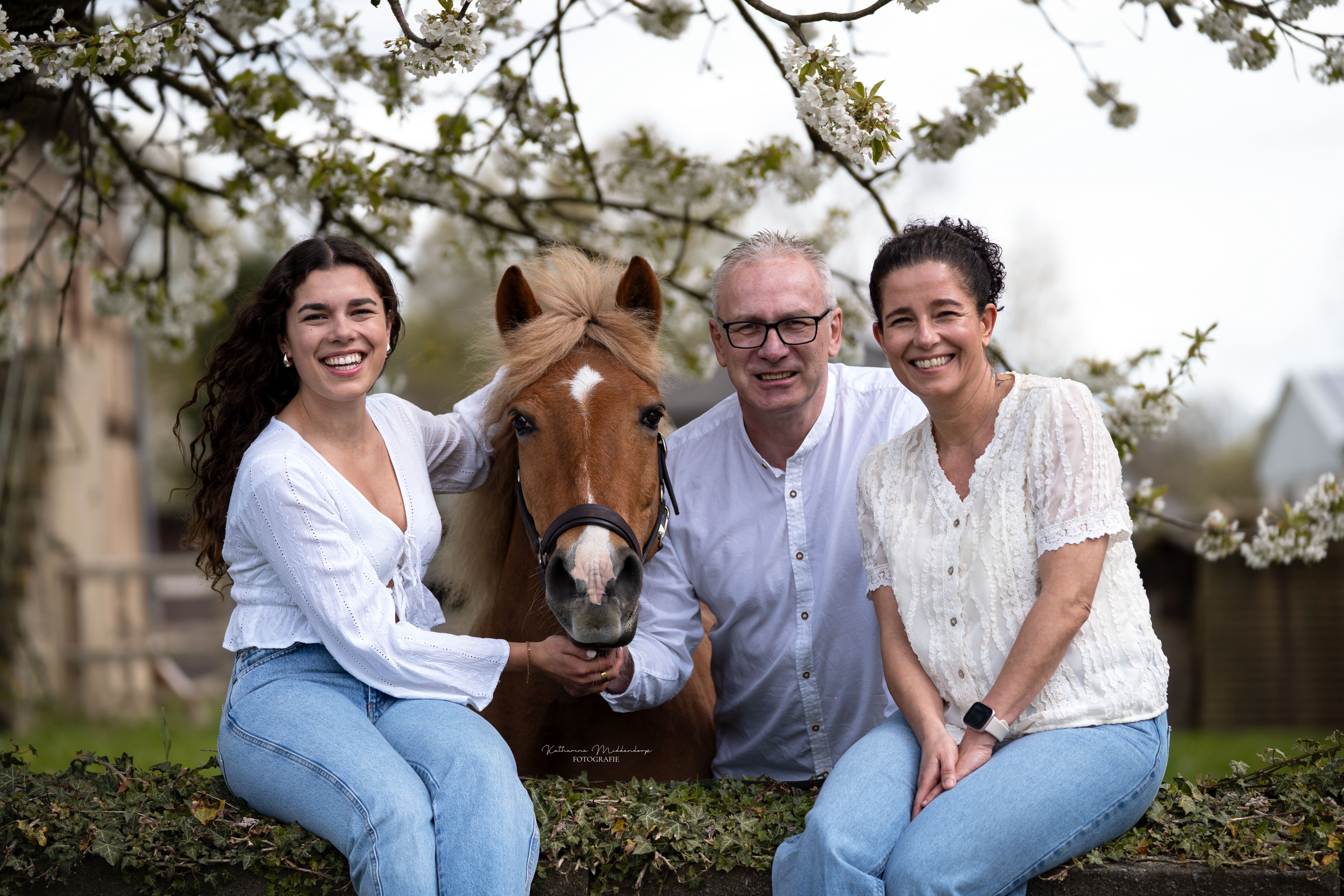 Pferdefotografie von Katharina Middendorp