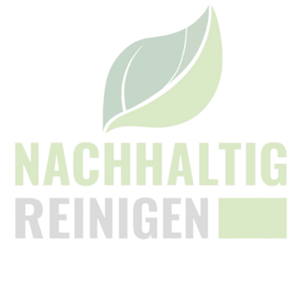 NACHHALTIG REINIGEN Logo mit zwei grünen Blättern.