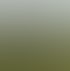 Eine Reiterin auf einem braunen Pferd mit schwarzem Zaumzeug und Sattel in einem grünen Feld.