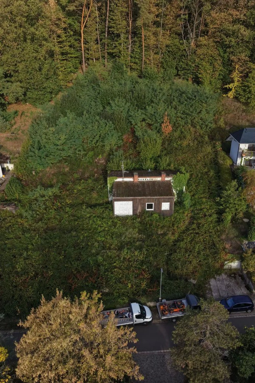 Vorher: Grundstück mit Haus komplett zugewuchert, Drohnenaufnahme