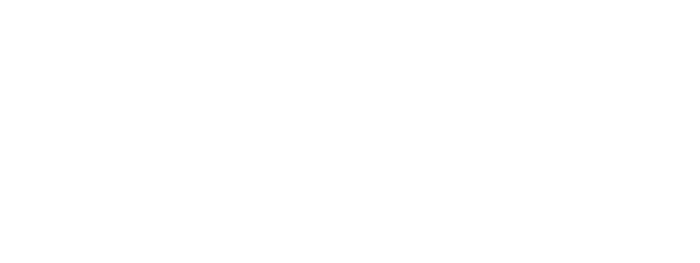 Logo mit stilisiertem Menschen mit Wirbelsäule, von Händen umgeben, daneben der Text "pnt²" in Weiß auf Grün.