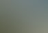 Visualisierung PINUS
