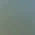 Freischneidearbeiten und Mulcharbeiten in Hasborn