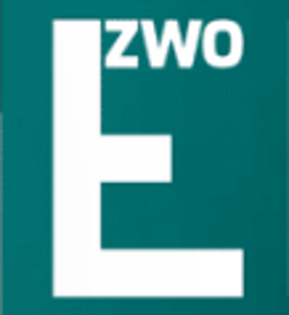 GLOBAL SOLUTIONS-Logo mit einem grauen Globus, der hinter dem "L" von "GLOBAL" und dem "S" von "SOLUTIONS" liegt.