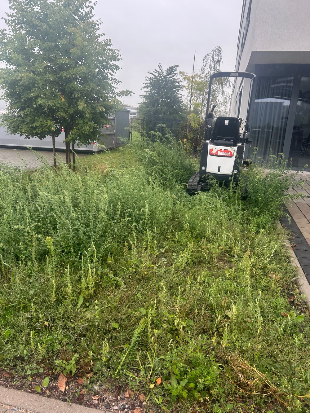 Minibagger in hohem Gras neben einem Neubau