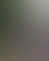Adin Memic der Geschäftsführer steht da im Bild