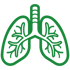 Grüne Umrisszeichnung einer Lunge mit Luftröhre.