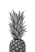 Schwarz-weiße Ananas mit Blättern auf weißem Hintergrund.