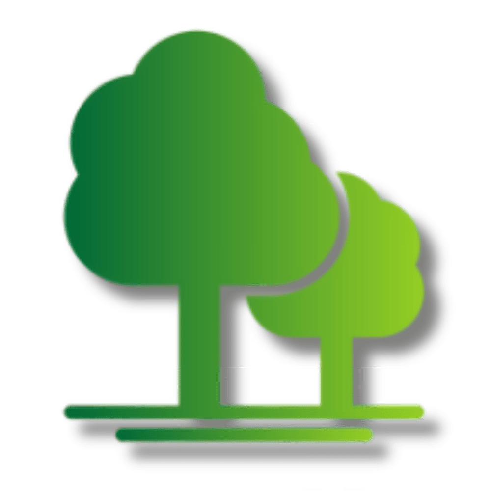 Zwei grüne Bäume mit unterschiedlicher Größe und Schatten auf weißem Hintergrund.