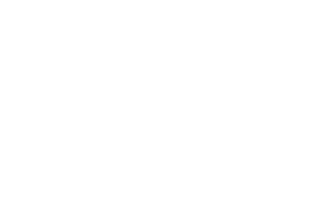 Wintair