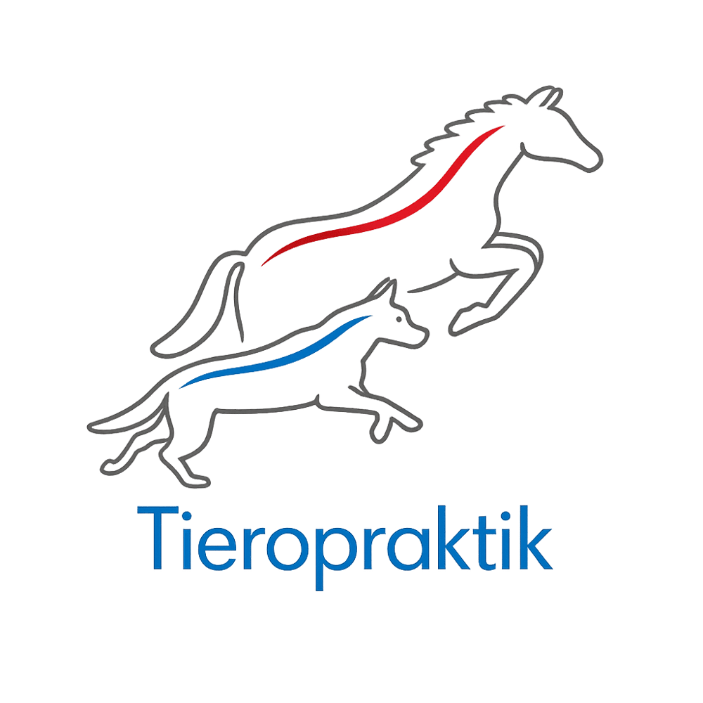 Kontur eines springenden Pferdes und eines Hundes mit roten und blauen Streifen; Text: Tieropraktik.